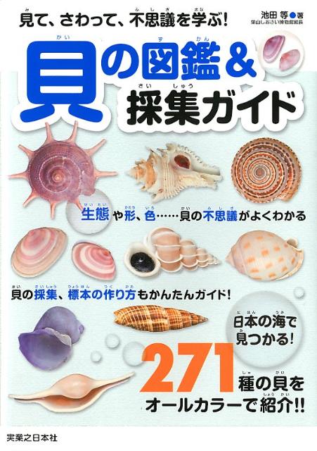貝の図鑑＆採集ガイド
