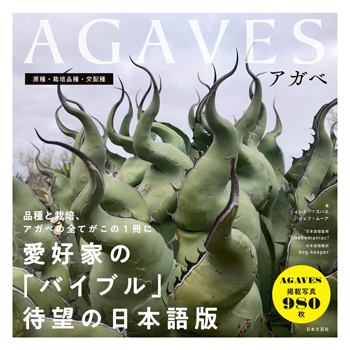 AGAVES アガベ [ ジェレミー・スパス ]（楽天・楽天ブックス）