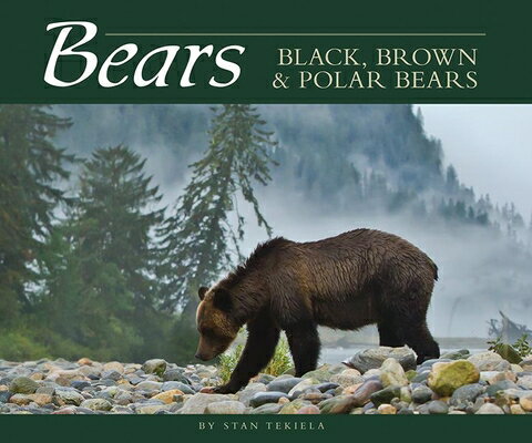 Bears: Black, Brown & Polar Bears BEARS （Wildlife Appreciation） [ Stan Tekiela ]