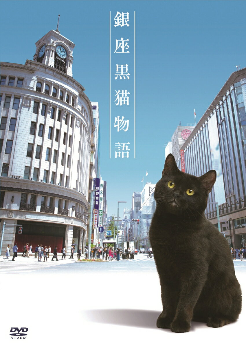 銀座黒猫物語 DVD コンプリートセット [ 山寺宏一 ]