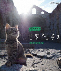 岩合光昭の世界ネコ歩き ブルガリア【Blu-ray】