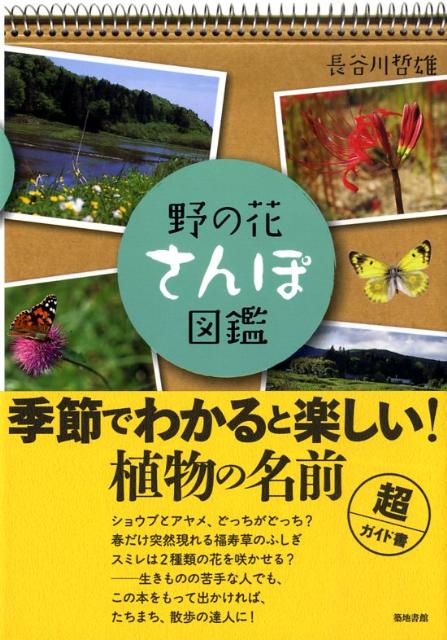 野の花さんぽ図鑑 [ 長谷川哲雄 ]