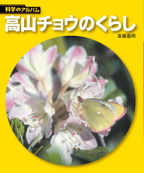 高山チョウのくらし新装版
