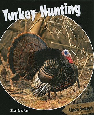 Turkey Hunting OPEN SEASON TURKEY HUNTING （Open Season） [ Sloan MacRae ]