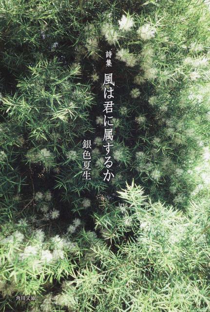 風は君に属するか