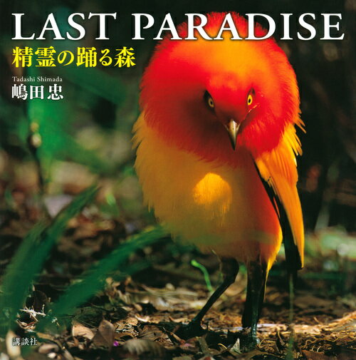 LAST PARADISE 精霊の踊る森