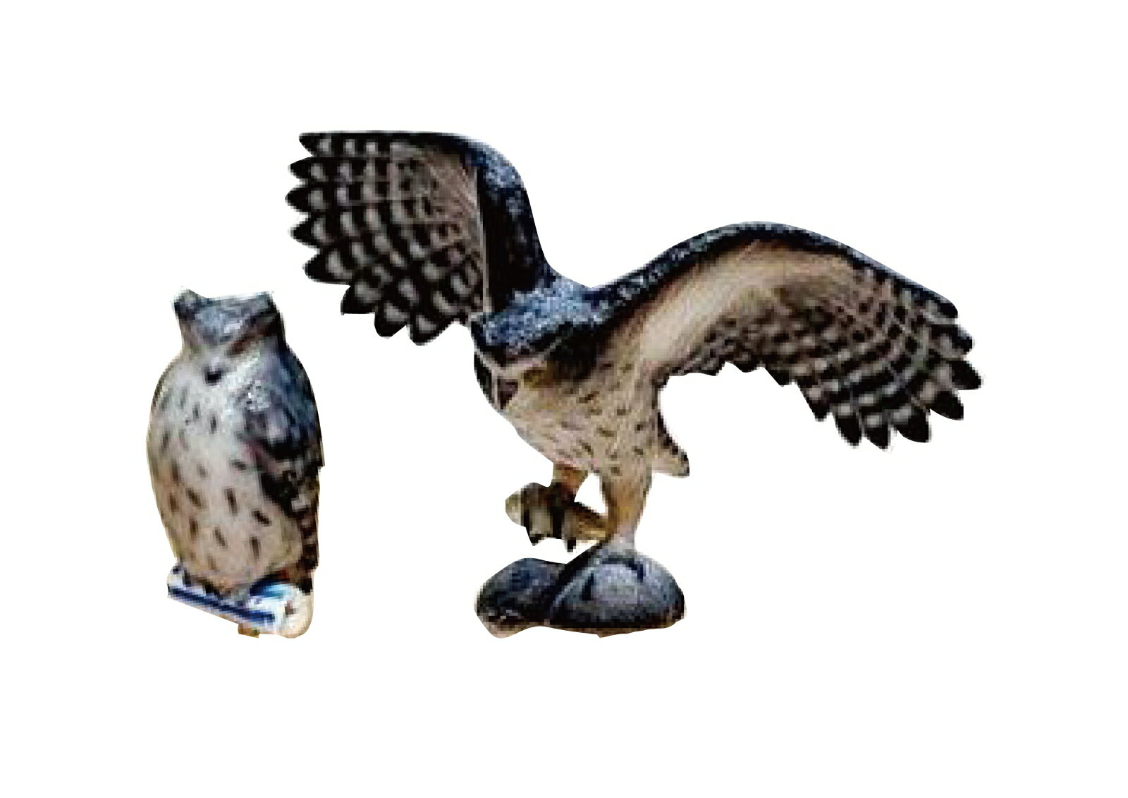 1/87 シマフクロウ 【6-609】 (鉄道模型 ジオラマ)