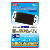 Switch （有機 EL モデル）用 ブルーライト 低減 ガラス フィルムの画像