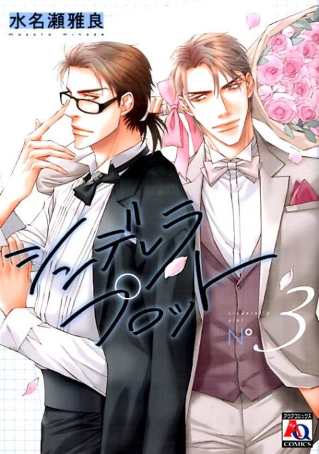 シンデレラプロット（3）