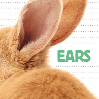 Ears EARS-BOARD （Whose Is It?） [ Katrine Crow ]のサムネイル