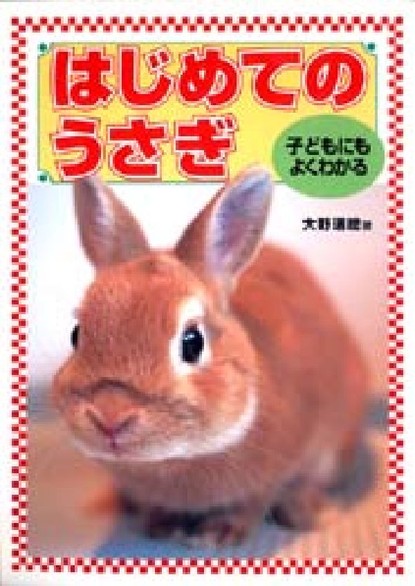 はじめてのうさぎ