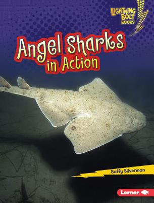 Angel Sharks in Action ANGEL SHARKS IN ACTION （Lightning Bolt Books (R) -- Shark World） [ Buffy Silverman ]