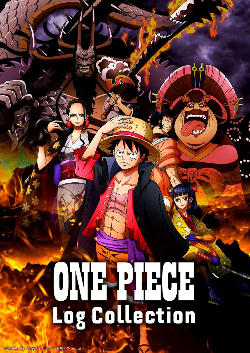 ONE PIECE Log Collection “KAIDO”