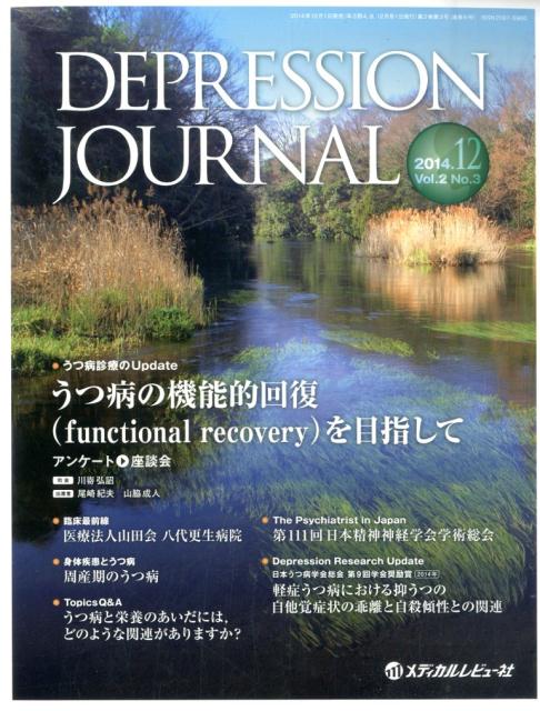 DEPRESSION　JOURNAL（2-3）