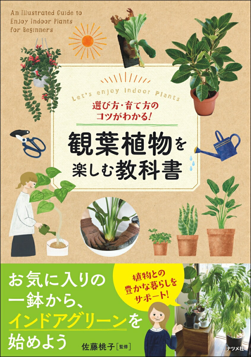 選び方・育て方のコツがわかる！観葉植物を楽しむ教科書