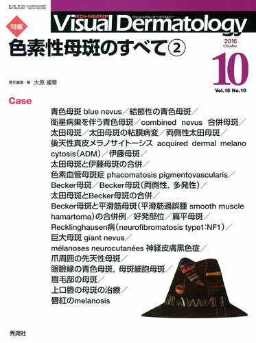 Visual　D．　2016年10月号Vol．15No．10