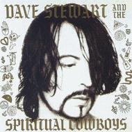 【輸入盤】Dave Stewart & Spiritual Cowboys