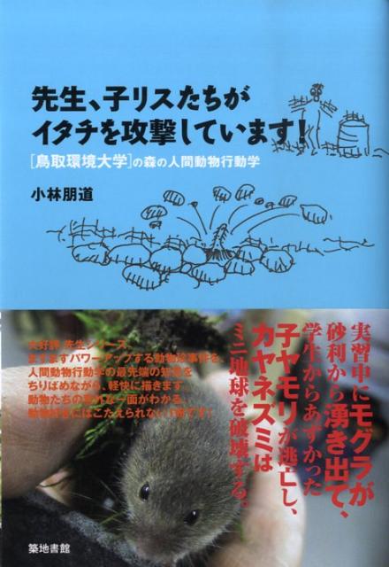 先生、子リスたちがイタチを攻撃しています！ 鳥取環境大学の森の人間動物行動学 [ 小林朋道 ]