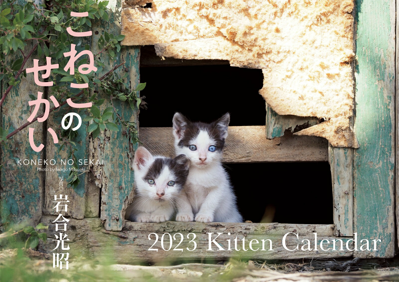 こねこのせかい　2023　Kitten Calendar　【S17】