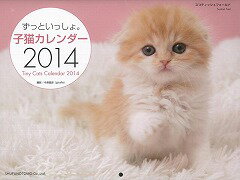 https://thumbnail.image.rakuten.co.jp/@0_mall/book/cabinet/3856/4528189343856.jpg