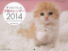 【バーゲン本】ずっといっしょ。子猫カレンダー2014 [ カレンダー ]