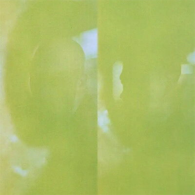 Jacques Greene × Nosaj Thing
現代エレクトロニック・シーンの異才2人が次元を超えて交差するヴァーシーズ GTが始動！デビュー・アルバム『Verses GT』が〈LUCKYME〉からリリース！

静寂と熱狂を兼ね備えたビート、内省と多幸感が共鳴するサウンド。現代エレクトロニック・シーンの異才、ジャック・グリーンとノサッジ・シングが手を組んだ新ユニット、ヴァーシーズ GT (Verses GT) が、セルフ・タイトルのデビュー・アルバム『Verses GT』を〈LUCKYME〉よりリリース。

このプロジェクトの本格始動を告げるニュー・シングル「Your Light」では、UKの新星、ジョージ・ライリーをフィーチャー。親密さとエッジを兼ね備えたヴォーカルが、鋭くも包み込むようなプロダクションの上で光を放つ。

ヴァーシーズ GTは、ただのプロジェクトじゃない。グループ名であり、アルバム名であり、ライブセットであり、映像作品──すべてが詰まったひとつのムーヴメントだ。2023年にOuriをフィーチャーした「Too Close」、2024年には「RB3」、そして2025年に「Unknown」と立て続けにサプライズ・シングルをドロップしてきたジャック・グリーンとノサッジ・シングの二人による新ユニット、その全貌がいよいよ明らかになる。

このアルバムには、ただの“情緒”ではない、重みのある静けさが漂っている。ロンドン、ロサンゼルス、東京、パリ、そしてモントリオールで対面で制作され、実際の人間関係から生まれた音楽は、深く、丁寧で、時にミニマル。そこに宿るのは、「今」という時代を生き抜いた二人の確かな体温だ。
ゲストにはKuckaやTYSONも参加。ビジュアル面では、写真家／映像作家Xavier Tera、クリエイティブ・ディレクターのTerence Teh、Erin D. Garciaらが結集し、ジャンルも国境も越えた世界観を構築している。

さらに、昨年モントリオール〈MUTEK〉でライブデビューを果たし、DJユニットとしての活動もスタートした二人が、いよいよ世界各地で本格的なツアーを始動。9月18日のモントリオールを皮切りに、ニューヨーク〈Webster Hall〉、サンフランシスコ〈Great American Music Hall〉、ロサンゼルス〈El Rey Theatre〉、マイアミ〈III Points Festival〉、そしてヨーロッパ、日本へと渡る壮大なワールドツアーも決定している。

このプロジェクトは、ただの「共作」ではない。リスナーと、アーティストと、世界が共鳴する一つの体験だ。世界基準のプロダクションに、柔らかなリアリティと深みを帯びた魂が宿る。静と動、直感と信頼、内省と躍動が交差する──ヴァーシーズ GT、ついに始動。

ノサッジとジャックのプロダクションはシンプルでありながら鮮烈。燃えるような空気感が、不確かな愛の駆け引きを想起させる - The FADER

本能を信じて突き進むのは本当に刺激的だった。ソロ作を経た今だからこそ、意味のあるものになったと思う - Nosaj Thing

このプロジェクトは50/50の関係。信頼というキーワードのもと、ギブ＆テイクが成立してる - Jacques Greene

(メーカー・インフォメーションより)

Disc1
1 : Fragment
2 : Unknown
3 : Your Light ft George Riley
4 : Left
5 : Wan
6 : Forever ft KUCKA
7 : Found
8 : Intention
9 : Angels ft TYSON
10 : Vision + Television
Powered by HMV