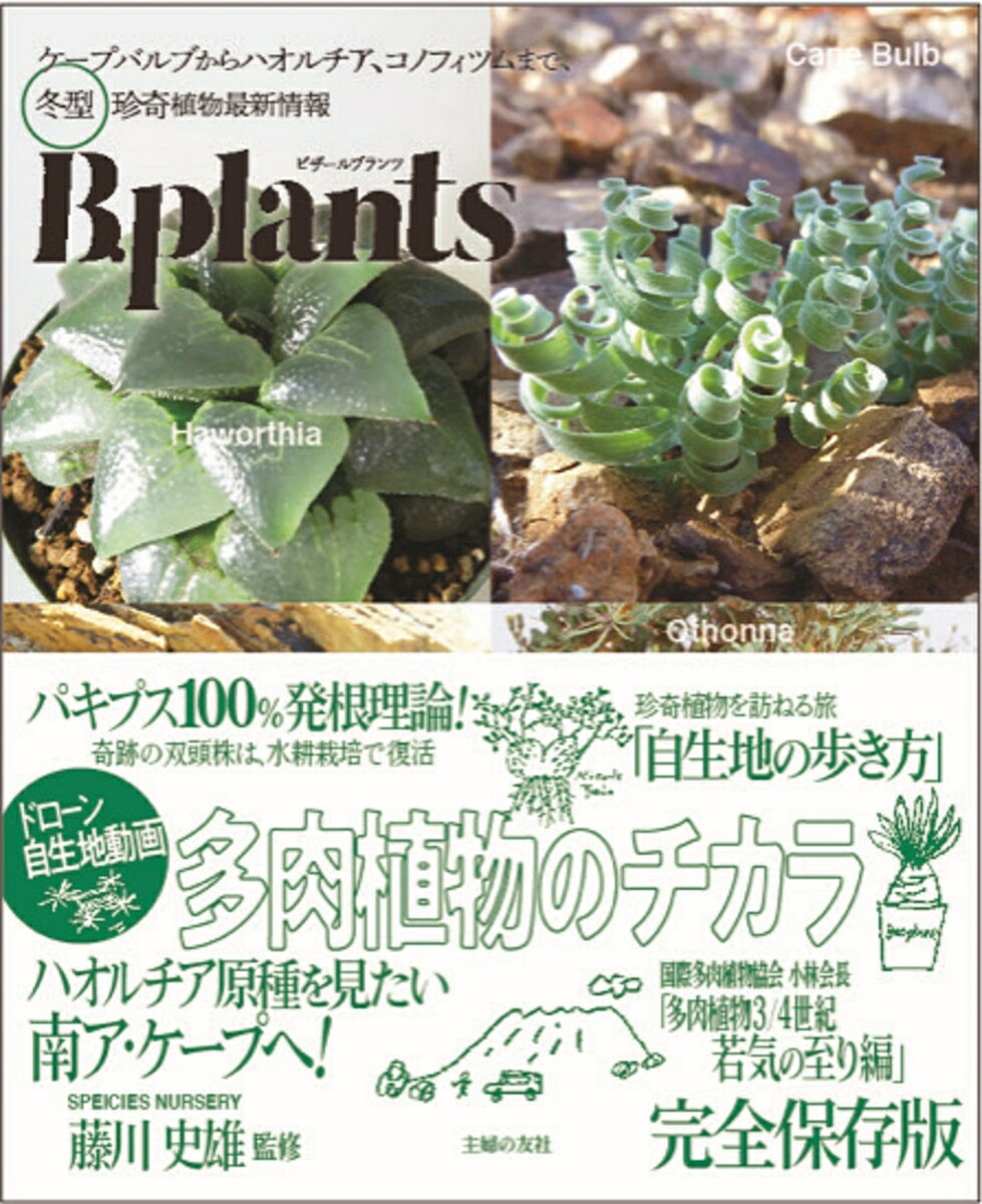 ビザールプランツ　冬型　珍奇植物