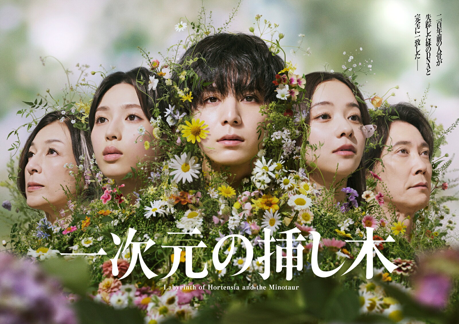 一次元の挿し木 Blu-ray BOX【Blu-ray】