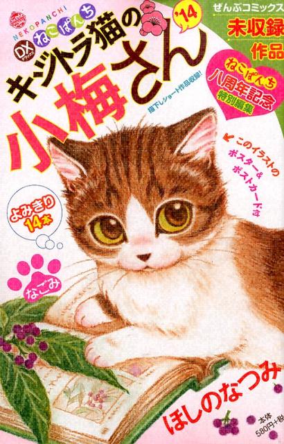 デラックスねこぱんちキジトラ猫の小梅さん（’14）