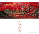 京都の紅葉 Fascinating　colors　in　Kyo （Suiko　books） 