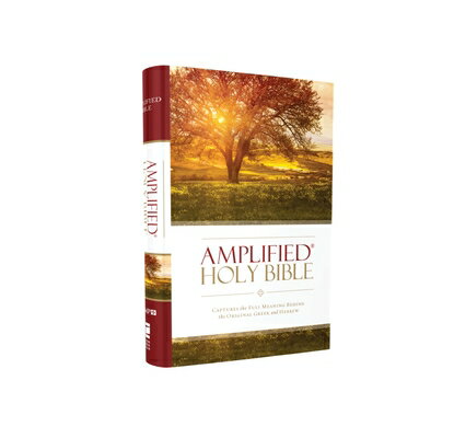 Amplified Bible-Am: Captures the Full Meaning Behind the Original Greek and Hebrew B-AM-ZON [ Zondervan ]