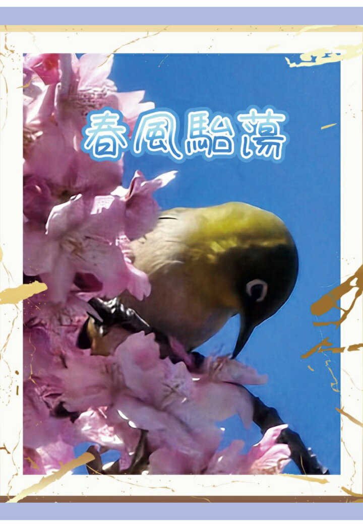 【POD】春風駘蕩 [ 海渡裕郎 ]