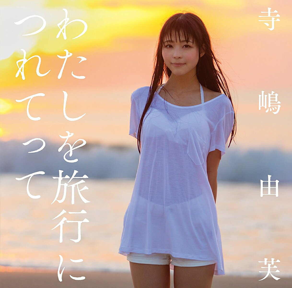 �錄����ι�ԤˤĤ�Ƥä� (�������� CD��DVD)
