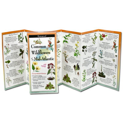 Common Wildflowers of the Mid-Atlantic COMMON WILDFLOWERS OF THE MID- [ Michael Homoya ]