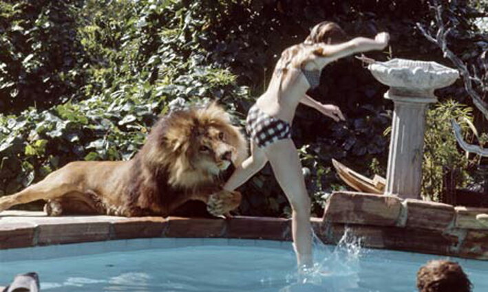 ROAR/ロアー