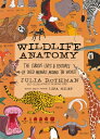 Wildlife Anatomy: The Curious Lives & Features of Wild Animals Around the World WILDLIFE ANATOMY （Anatomy） [ Julia Rothman ]