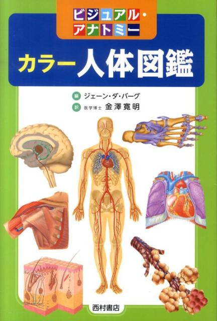 人体図鑑 カラー人体図鑑 ビジュアル・アナトミー [ ジェーン・ダ・バーグ ]