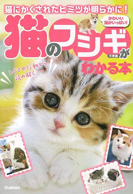 【バーゲン本】猫のフシギがわかる本