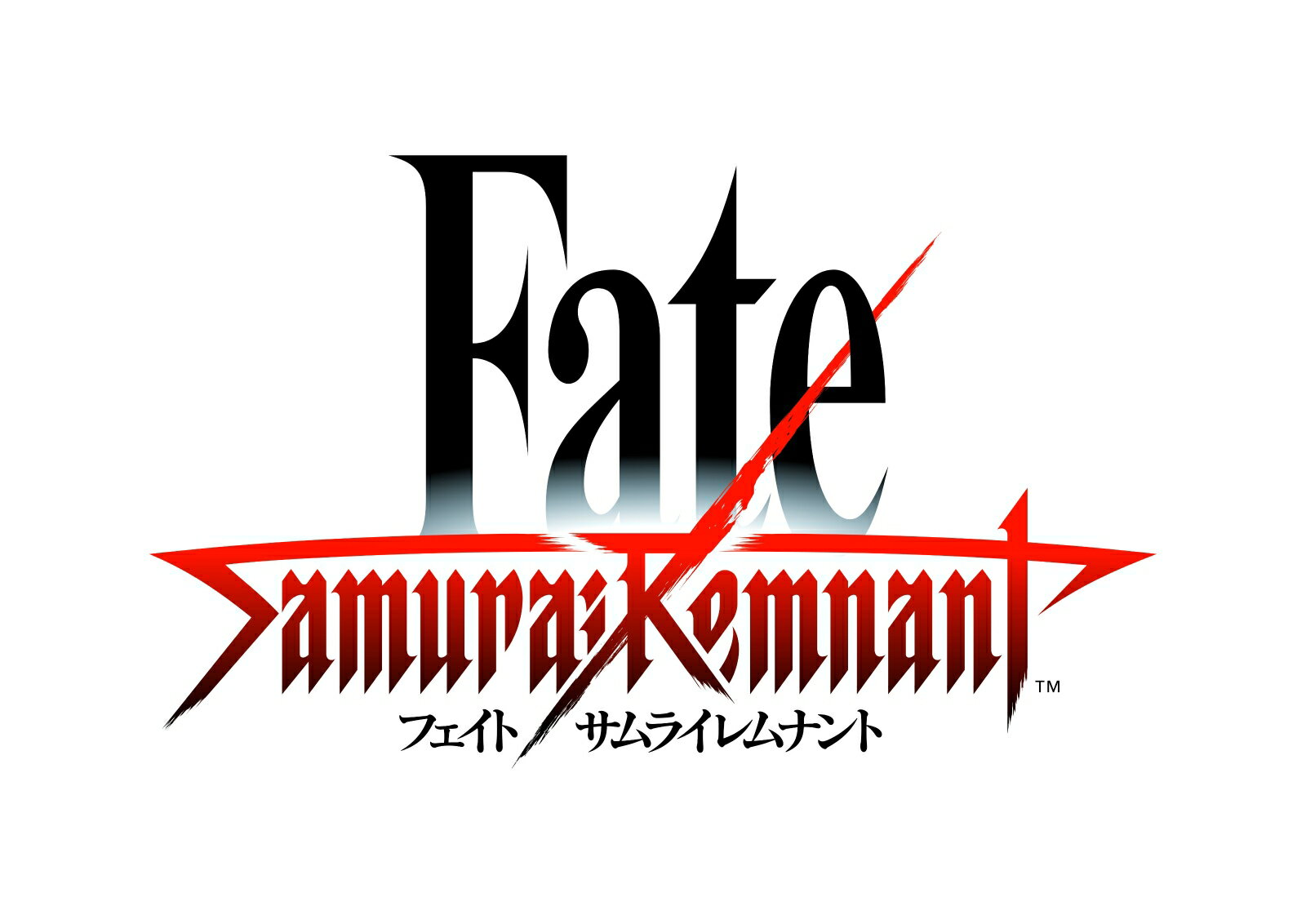 Fate/Samurai Remnant TREASURE BOX グッズのみ（ゲームソフトなし）