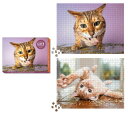 Cats on Catnip 2-In-1 Double-Sided 1,000-Piece Puzzle CATS ON CATNIP 2-IN-1 DOUBLE-S Andrew Marttila