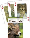Mammals of the Rocky Mountains Playing Cards MAMMALS OF THE ROCKY MOUNTAINS (Nat...
