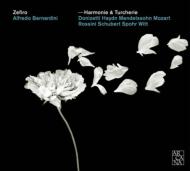 【輸入盤】Harmonie & Turcherie-j & M.haydn, Mozart, Etc: Bernardini / Zefiro