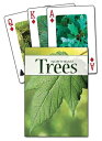 Trees of the Northeast Playing Cards TREES OF THE NORTHEAST PLAYING （Nature's Wild Cards） 