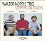 【輸入盤】Stepping On Cracks