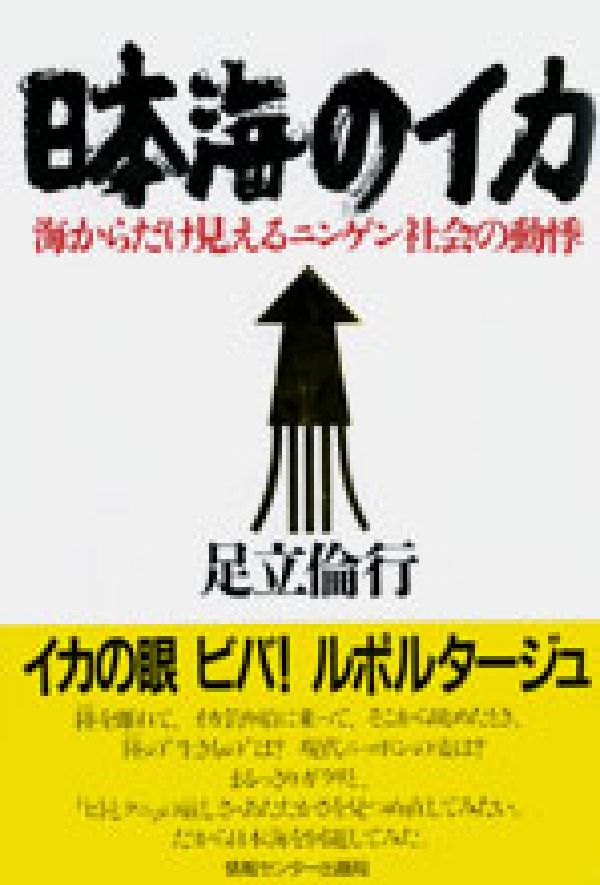 日本海のイカ
