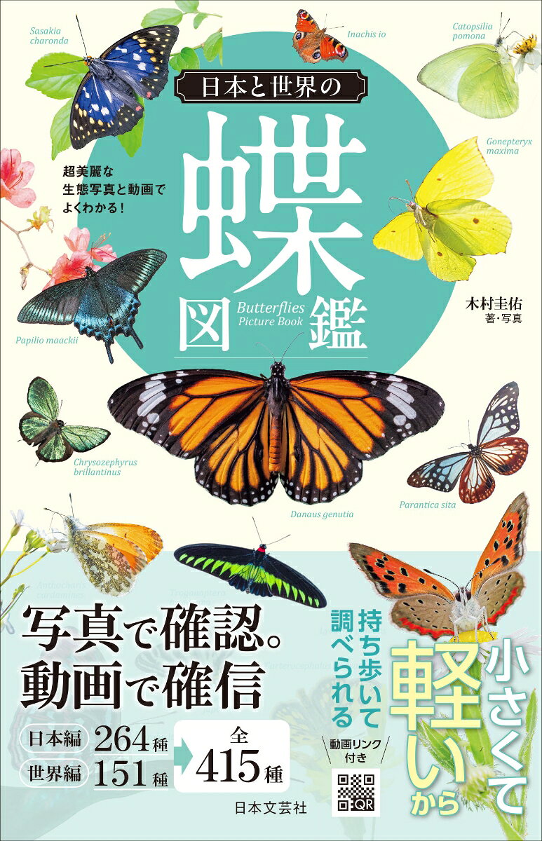 日本と世界の蝶図鑑 ／木村 圭佑 （日本文芸社）