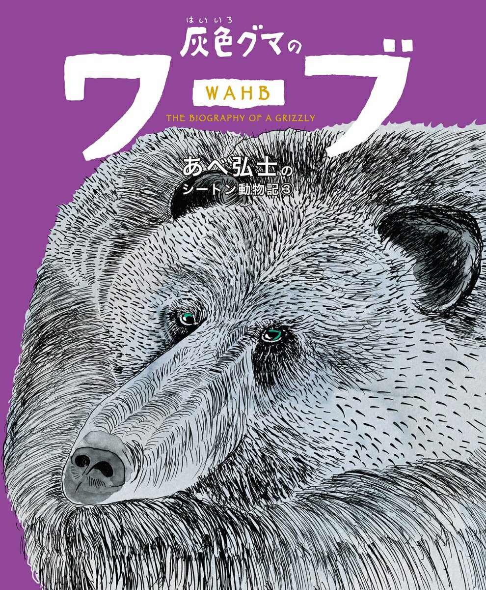 灰色グマのワーブ （あべ弘士のシートン動物記　3） [ あべ弘士 ]