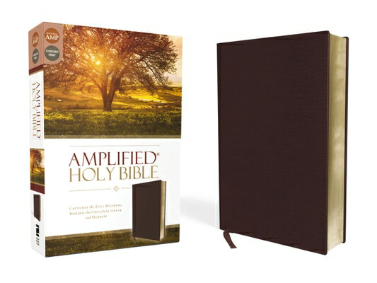 Amplified Bible-Am: Captures the Full Meaning Behind the Original Greek and Hebrew B-AM-ZON BUR [ Zondervan ]