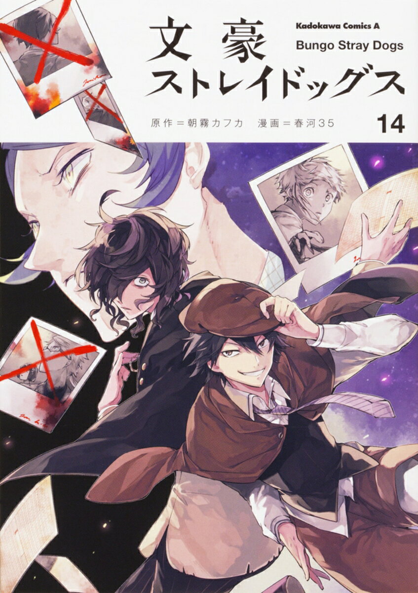 文豪ストレイドッグス　（14）