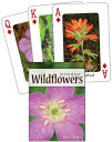 Wildflowers of the Northeast Playing Cards WILDFLOWERS OF THE NORTHEAST P (Natur...